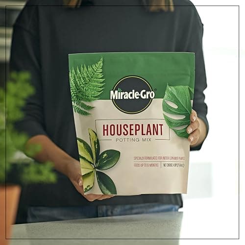Miracle-Gro Houseplant Potting Mix: Fertilized, Perlite Soil for Indoor Gardening, Designed to Be Less Prone to Gnats, 4 qt. thumbnail 2