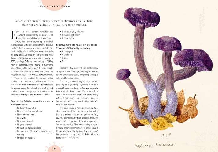 Kew - The Magic of Mushrooms: Fungi in folklore, superstition and traditional medicine (Royal Botanic Gardens, Kew) thumbnail 19