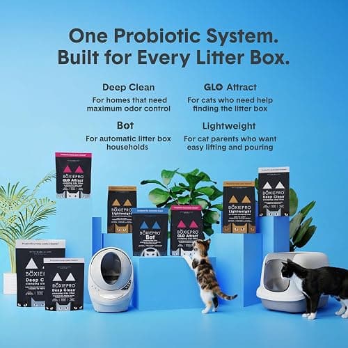 Boxie Probiotic Cat Litter, 40 Day Odor Control, Clumping Clay Kitty Litter, Odor Eliminating Probiotics, Dust-Free, No Fragrances No Fillers, 28 lb thumbnail 8