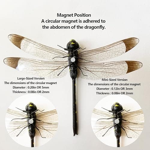 Arsnature 5 Colors Large-Sized Realistic Refrigerator Magnets Dragonfly, Fake Dragonflies, Fridge Magnet, Dragonfly Decor, Dragonfly Garden Decor, Dragonfly Gifts for Women thumbnail 3