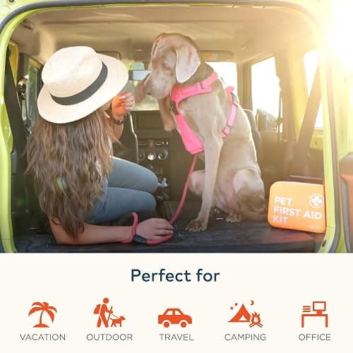 ARCA PET Cat & Dog First Aid Kit for Car - Pet Emergency Kit for Home Office Travel – Dog Camping Essentials with Digital Thermometer, Muzzle & Mini First Aid Pouch thumbnail 5