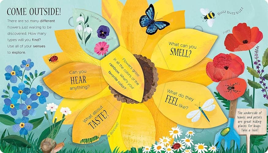 One Little Seed: Exploring Nature for Curious Kids thumbnail 5