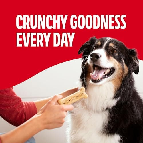 Milk-Bone Crunchy Large Dog Treats, 10 Lb. Box, Original Beef Flavor thumbnail 6