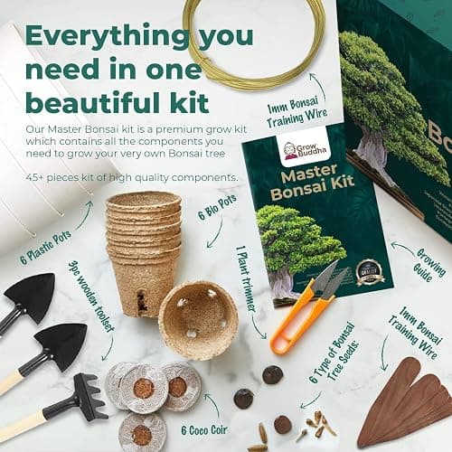 Master Bonsai Kit - Grow Buddha Bonsai Tree Growing Kit - Professional Growing and Styling Bonsai Set - Japanese Bonsai - Become Bonsai Master - Ideal Bonsai Tree Seed Kit for Indoor Garden Gardening thumbnail 4