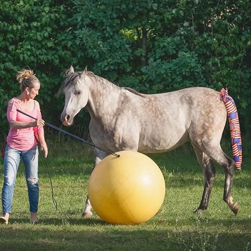 Huhumy 6 Pcs Horse Tail Bag Breathable Guard 22" Slip on Horse Care Tail Wrap 2 Strand Closure Straps Grooming Supplies to Keep from Dirt Breakage Rubbing 6 Designs(Modern Style) thumbnail 5