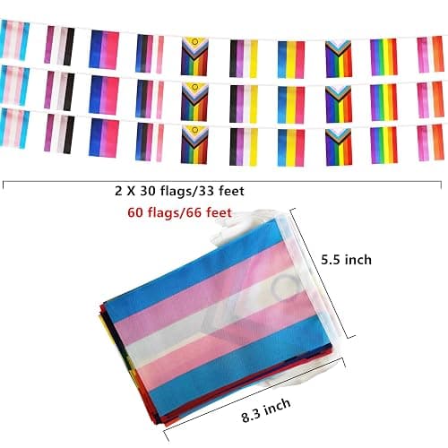 60 All Pride Rainbow Gay String Flag, 66 ft Progress Rainbow Gay Pride Flag Bunting Banner,LGBTQ Flag Banner Decoration for Sports Events, Grand Opening, Party thumbnail 3
