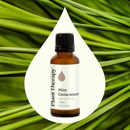 Plant Therapy Atlas Cedarwood Essential Oil 30 mL (1 oz) 100% Pure, Undiluted, Therapeutic Grade thumbnail 3