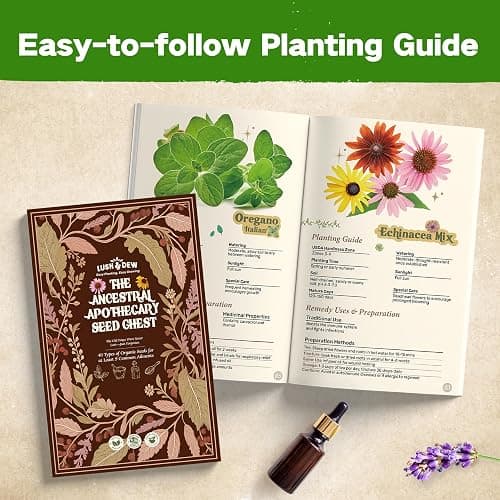 LUSH&DEW Medicinal Herb Gardening Gifts for Herbalists, Apothecary Seed Chest, 40 Varieties 36,000+ Non-GMO Heirloom Seeds for Planting Herbs in Raised Bed Windowsill, Survival Seed Kit for Herbal Tea thumbnail 9