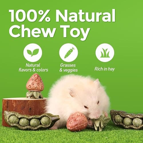 TEEWY 4PCS Guinea Pig Toys, Prevent Teeth Overgrowth, Natural Vegetables and Timothy Grass, Hamster Chew Toys, Guinea Pig Chew Toys, Chinchilla Toys, Peapod and Stawberry Chew Toy Set thumbnail 2