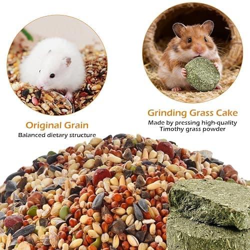 HKBZQC Hamster Sand Bath House 6Pcs, Small Pet Sand Bath Kit with Ladder, Chew Sticks, Food, Grass Cake, Bath Sand, Cage Accessories for Dwarf Syrian Hamsters Gerbils thumbnail 5