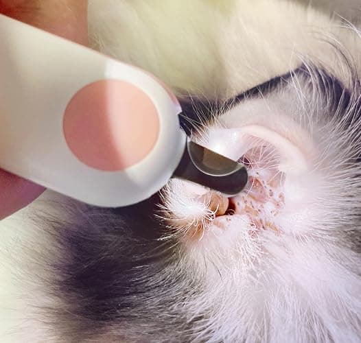 Small Animals Nail Clippers with LED Lights to Avoid Excessive Cutting and Sharp Blades - Professional Claw Trimmer for Tiny Dog Cat Kitten Bunny Rabbit Bird Guinea Pigs Ferret Hamsters (Blue) thumbnail 8