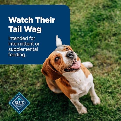 Blue Buffalo Nudges Jerky Cuts Dog Treats, Made in the USA with Natural Ingredients, Chicken & Duck, 16-oz Bag thumbnail 8