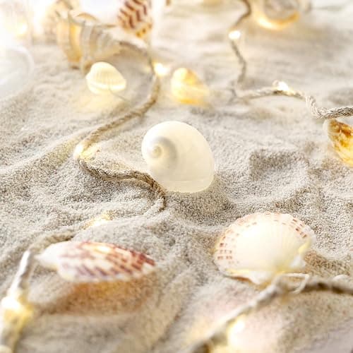 MIYA LIFE Seashell Garland Ocean Light for Beach Decor 7.2FT 39LED Battery Operated Coastal Garland Magic Conch Shell Beach Decorations for Home Coconut Girl Room Decor thumbnail 8