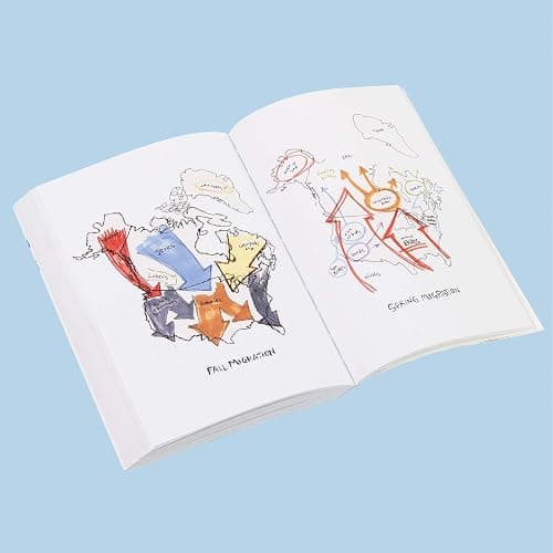 The Field Guide to Dumb Birds of North America (Bird Books, Books for Bird Lovers, Humor Books) thumbnail 4