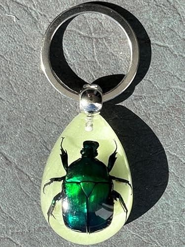 HQRP-Crystal 45mm Real Emerald Green Chafer Beetle in Glow in The Dark Lucite Keychain Insect Animal Taxidermy Sample Inside for Biology Science Education Decoration Tear Drop Key Ring Chain Pendant thumbnail 7