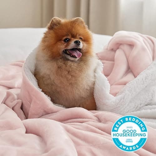 Bedsure GentleSoft Sherpa Fleece Throw Blanket for Couch - Thick and Warm Throw Gifts for Women and Girls, Soft Fuzzy Plush Christmas Blanket for Winter, Room Home Decor, Pink, 50x60 Inches thumbnail 4