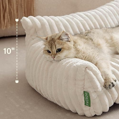 FWERDG Cute Couch Bed for Pets, Supportive Cat Sofa for Indoor Cats, Small Dog Sofa Bed for Small Dogs, Cream, 24 inches thumbnail 3