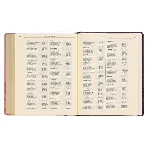 KJV Holy Bible, Note-taking Bible, Faux Leather Hardcover - King James Version, Brown/Pink (KJV Note-taking Editions) thumbnail 7