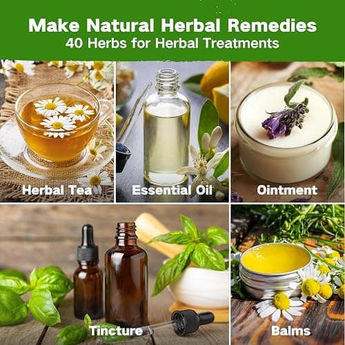 LUSH&DEW Medicinal Herb Gardening Gifts for Herbalists, Apothecary Seed Chest, 40 Varieties 36,000+ Non-GMO Heirloom Seeds for Planting Herbs in Raised Bed Windowsill, Survival Seed Kit for Herbal Tea thumbnail 4