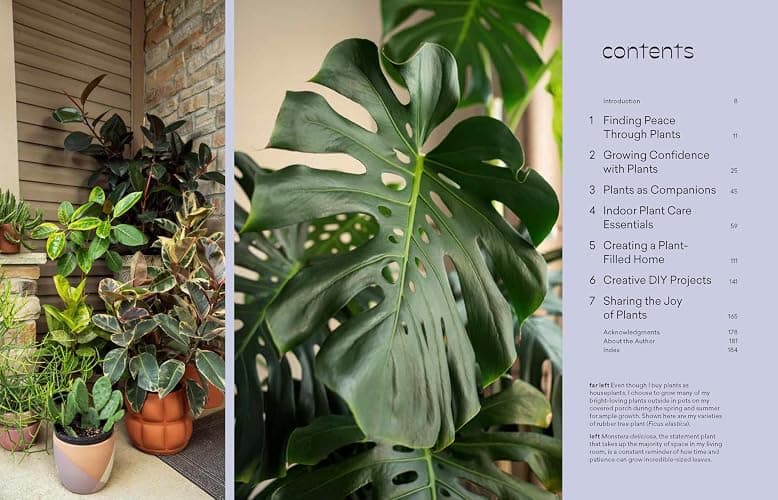 More Than Just a Plant: How to Care for Your Plants as They Care for You thumbnail 3