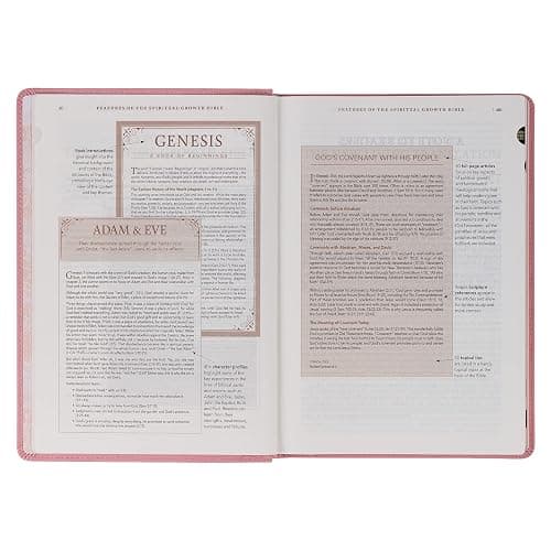 The Spiritual Growth Bible thumbnail 9