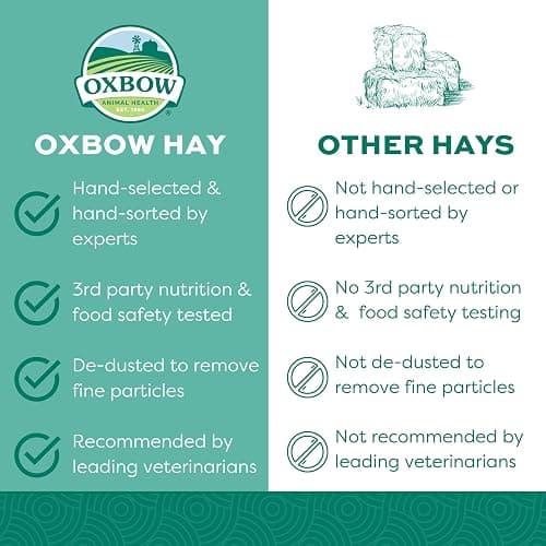 Oxbow Orchard Grass Hay for Small Pets – All-Natural Long Strand Fiber Hay for Rabbits, Guinea Pigs, Chinchillas, and Hamsters – Supports Digestive Health and Enrichment – 40 oz Bag thumbnail 3