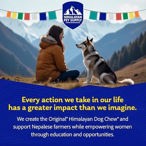 Himalayan Dog Chew Original Yak Cheese Chew, 1 Large Stick, 3.3 oz, Gluten Free, Healthy Treats, Grain & Lactose Free 100% Natural, Long Lasting for Dogs Under 55 lbs thumbnail 6