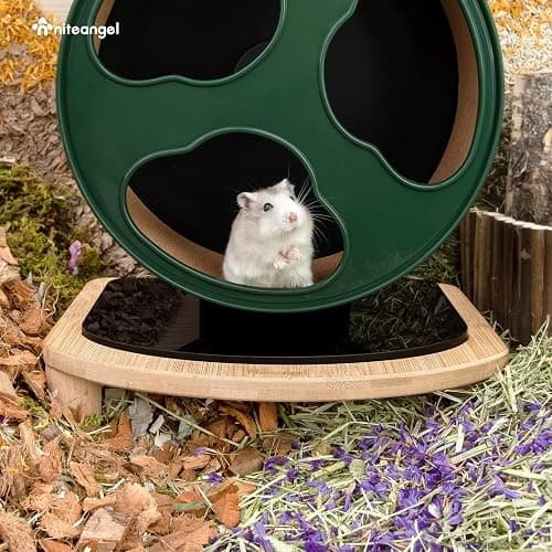 Niteangel Anti-Slide Hamster Wheel Platform for Super-Silent, Acrylic, Wooden, and Cloud Series Wheels (Small) thumbnail 3