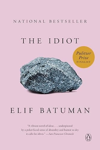 The Idiot: A Novel - Image 1