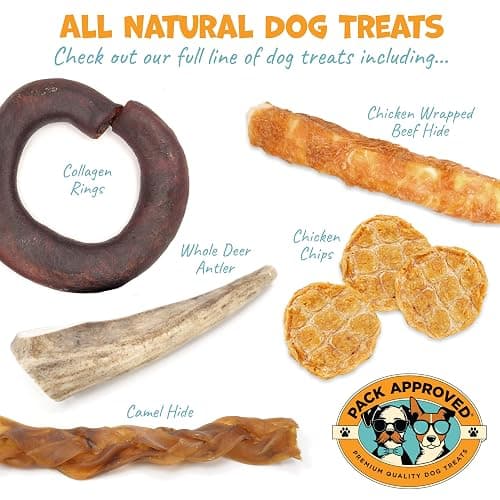 Pack Approved Beef Shin Bones for Dogs - Liver Coated Long Lasting Dog Chews for Aggressive Chewers - Rawhide-Free Big Bones for Large Dogs - Healthy Large Dog Bone (1 Pack) thumbnail 8