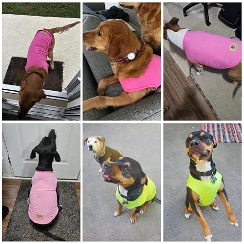 KOOLTAIL Dog Clothes for Large Dogs Girl Boy, 2 Pack Cotton Comfortable Dog T Shirts Coats for Outdoor, UV & Insect Protection Anti-Hair Loss & Lightweight Pet Vest Tank Tops Apparel,Green&Purple,2XL thumbnail 2