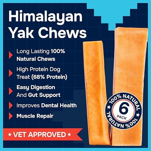 100% Natural Yak Cheese Himalayan Made Dog Chews All Breeds - Lactose Free Yak Chew for Small Medium & Large Dogs - Dental Cleaning Dog Chews for Aggressive Chewers - Long Lasting Odor & Gluten Free thumbnail 2