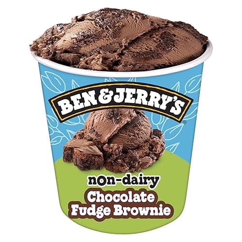 Ben & Jerry's Non-Dairy Chocolate Fudge Brownie Frozen Dessert Certified Vegan Pint 16 oz