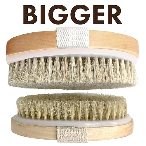 Dry Brushing Body Brush SCALA Natural Bristle Body Brush, Soft Body Exfoliating Brush Scrub for Dead Skin, Cellulite, Lymphatic Drainage, Blood Flow – Thicker & Stronger Medium Strength thumbnail 5
