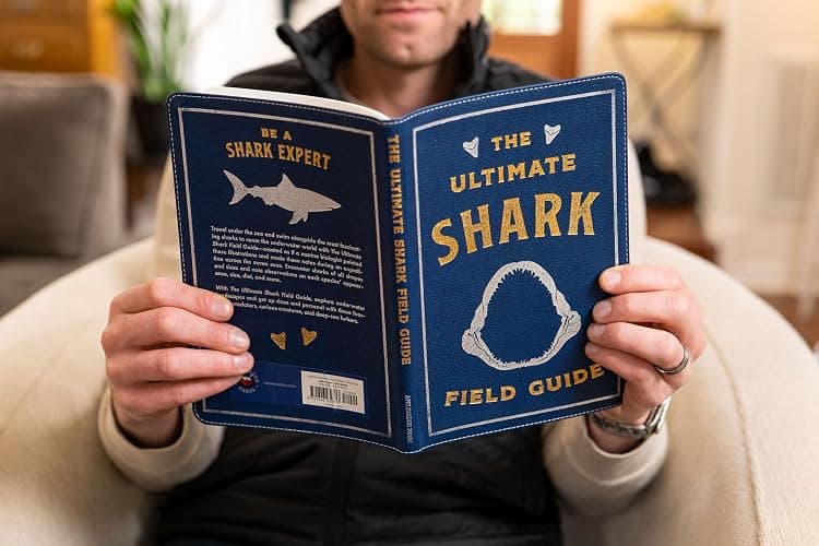 The Ultimate Shark Field Guide: The Ocean Explorer's Handbook (Ultimate Field Guides) thumbnail 9