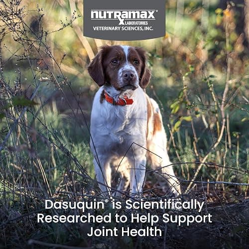 Nutramax Laboratories Dasuquin with MSM Soft Chews Small/Medium Dog 84 Count, brown thumbnail 2