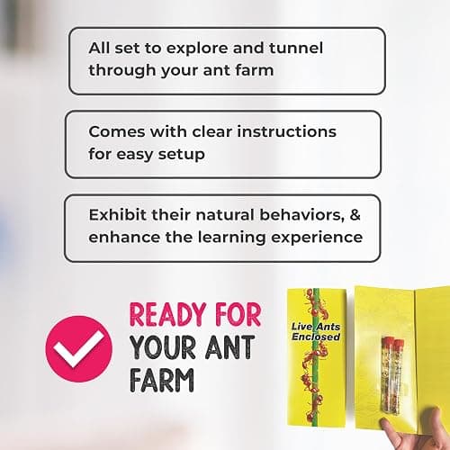 Nature Gift Store 1 Tube of Live Ants Plus Ant Food and Honey Treat: Ant Habitat Kit Refill thumbnail 5