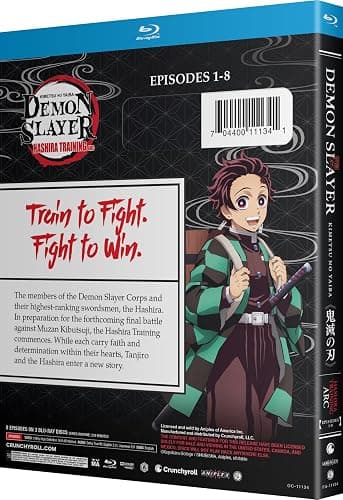 Demon Slayer: Kimetsu no Yaiba: Hashira Training Arc thumbnail 4