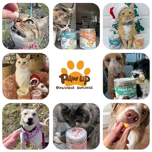 PAWUP Freeze Dried Quail Egg Yolk Pet Treats, Freeze-Dried Pet Food for Dogs, Cats, Pure Fresh Ingredient, 4.2 oz, Rawhide Free, Gluten&Grain Free thumbnail 7