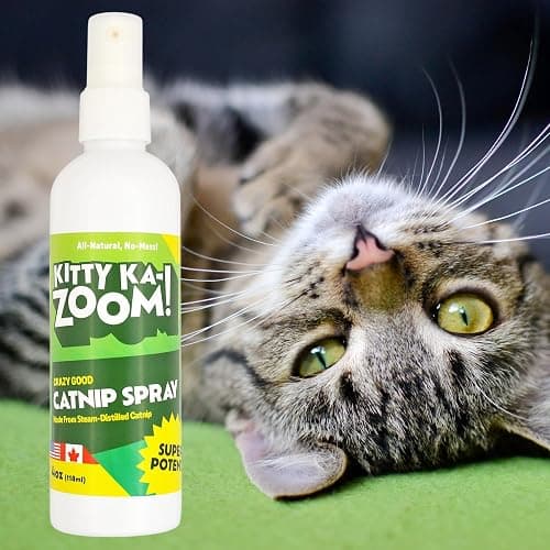 KITTY KA-ZOOM Catnip Spray for Cats, 4 oz | Steam-Distilled Mist | Steam-distilled catnip spray for cats; revives toys, redirects scratching, sparks zoomies; grown in Canada & USA thumbnail 5