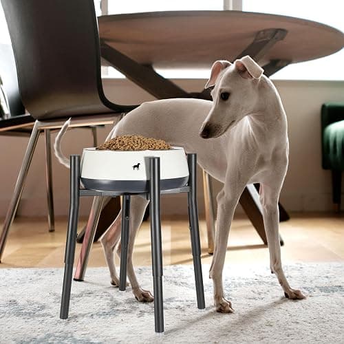 PROERR Raised Single Dog Bowl Stand, Adjustable 12-16" Tall, Elevated Dogs Food Bowl Stand for 8-12" Wide Bowls, Dog Bowl Holder for Medium Large - Metal Pets Dish Holder Only - Black thumbnail 6