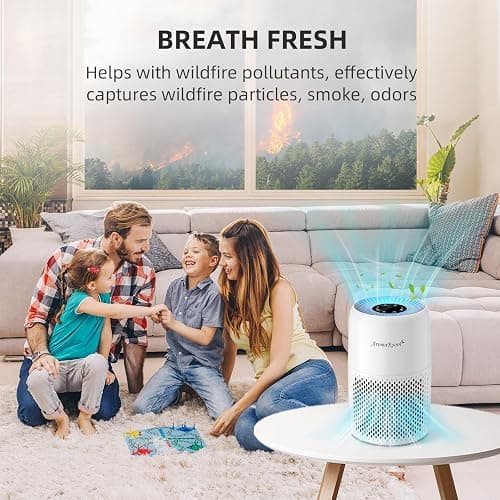 AromaRoom Air Purifiers for Home Bedroom with True HEPA13 Filters 3-in-1, Pet Air Purifier with Aroma Pad for Wildfires Smoke Pollen Dander, 22dB Quiet Air Cleaners for Baby Room Office Dorm thumbnail 4