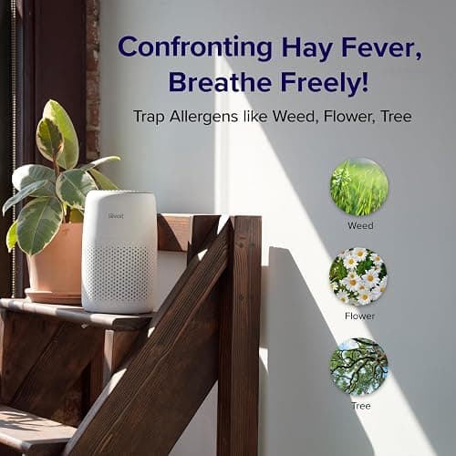 LEVOIT Air Purifier for Bedroom Home, Quiet HEPA Filter Cleaner with Fragrance Sponge & 3 Speed for Better Sleep, Air Frenshener, Allergies, Dust, Pet Dander, Odour, Smoke, Office, Desktop, Core Mini thumbnail 11