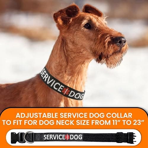 Tacticollar - Service Dog Collar, Nylon, Adjustable, Embroidery ((X-Small) 10-12in Length x 1in Width) thumbnail 4