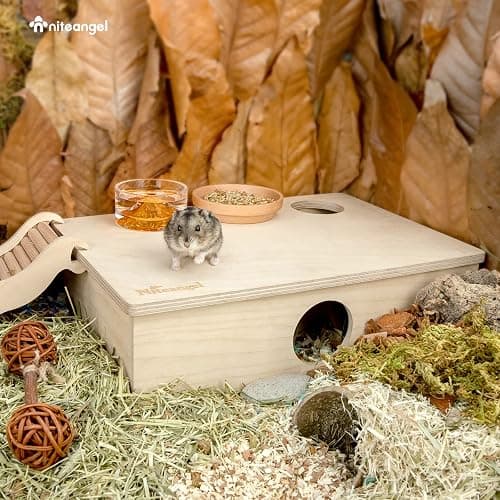 Niteangel Multi-Chamber Hamster House Maze - Multi-Room Hideouts & Tunnel Exploring Toys for Hamster Gerbils Mice Lemmings (6-Room Small) thumbnail 3