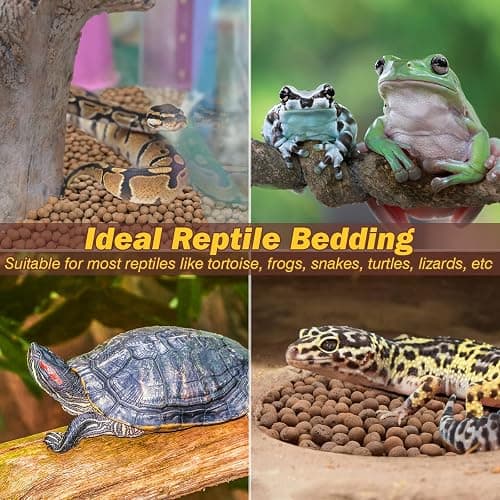 ZeeDix Reptile Substrate Leca Balls - 10LBS Organic Expanded Clay Pebbles, Bioactive Terrarium Bedding for Reptile Tank Habitat Accessories, Ideal for Bearded Dragon, Tortoise, Gecko, Snake & Frog thumbnail 7