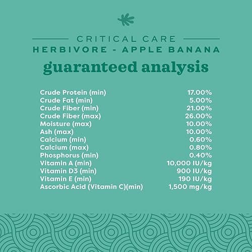 Oxbow Critical Care Herbivore, Emergency Guinea Pig Food, Rabbit Food for Recovery, Natural Apple Banana Flavor, Critical Care for Guinea Pig Emergency Kit, Made in USA, 141 Grams thumbnail 5
