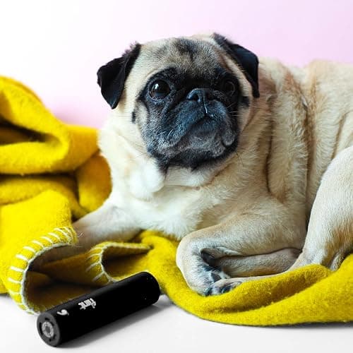 Flint Classic Black Retractable Mini Lint Roller with 90 Extra Sticky Sheets, Small and Portable Lint Roller, Ideal Pet Hair Remover, Travel Lint Rollers for pet Hair Extra Sticky thumbnail 9