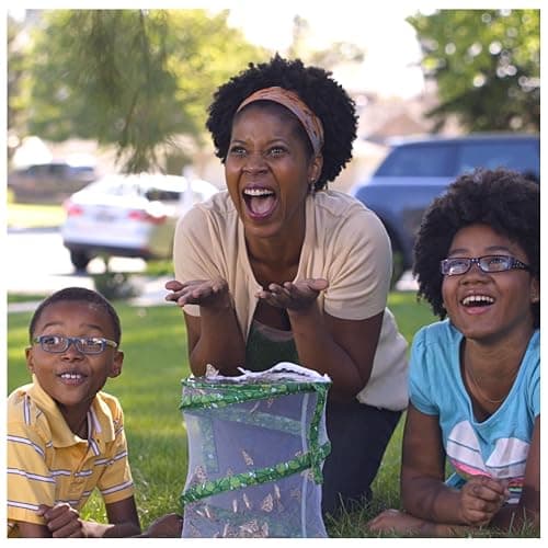 Insect Lore Raise and Release Butterfly Garden Kit – Caterpillar Habitat with redeemable Voucher – STEM-accredited Butterfly Growing Kit for Kids, Classrooms, and Homeschool Learning thumbnail 9