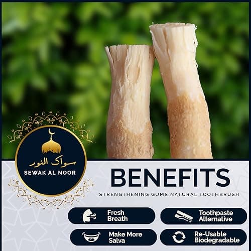 Sewak Al Noor Pack of 10 Miswak Sticks for Teeth with Holder - Vacuum Sealed Natural Flavored Chew Sticks for Humans - Natural Toothbrush for Teeth Whitening, Oral Health & Fresh Breath || Pack of 10 thumbnail 5